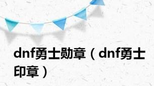 dnf勇士勋章（dnf勇士印章）