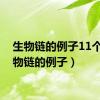 生物链的例子11个（生物链的例子）