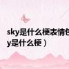 sky是什么梗表情包（sky是什么梗）