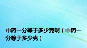 中药一分等于多少克啊（中药一分等于多少克）