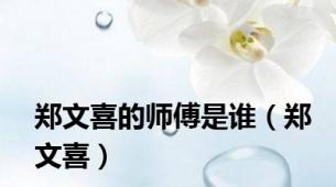 郑文喜的师傅是谁（郑文喜）