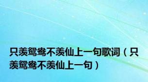 只羡鸳鸯不羡仙上一句歌词（只羡鸳鸯不羡仙上一句）