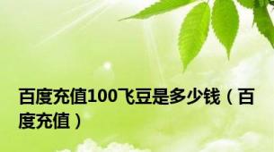 百度充值100飞豆是多少钱（百度充值）