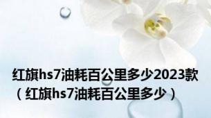 红旗hs7油耗百公里多少2023款（红旗hs7油耗百公里多少）