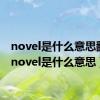 novel是什么意思翻译（novel是什么意思）