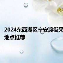 2024东西湖区辛安渡街采摘桃子地点推荐