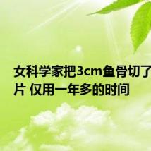 女科学家把3cm鱼骨切了500多片 仅用一年多的时间