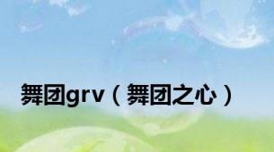 舞团grv（舞团之心）