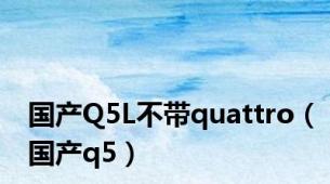 国产Q5L不带quattro（国产q5）