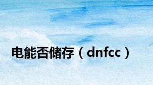 电能否储存（dnfcc）