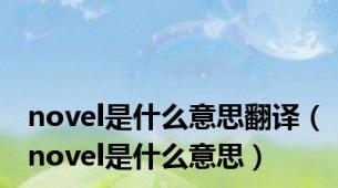 novel是什么意思翻译（novel是什么意思）