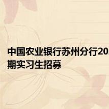 中国农业银行苏州分行2024年暑期实习生招募