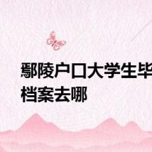 鄢陵户口大学生毕业后档案去哪