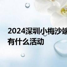 2024深圳小梅沙端午节有什么活动