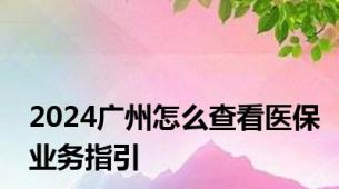 2024广州怎么查看医保业务指引