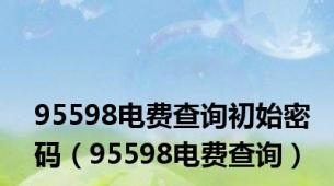 95598电费查询初始密码（95598电费查询）