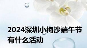 2024深圳小梅沙端午节有什么活动