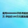 尾号6666666手机号起拍价113万 评估价160万归属地是上海