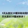 3天头发长10厘米秘诀用什么（3天头发长10厘米秘诀）