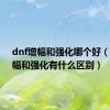 dnf增幅和强化哪个好（dnf增幅和强化有什么区别）