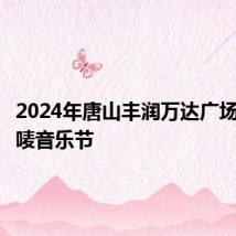 2024年唐山丰润万达广场无限开唛音乐节