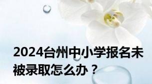 2024台州中小学报名未被录取怎么办？