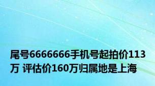 尾号6666666手机号起拍价113万 评估价160万归属地是上海