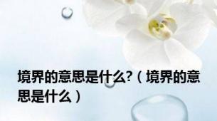 境界的意思是什么?（境界的意思是什么）