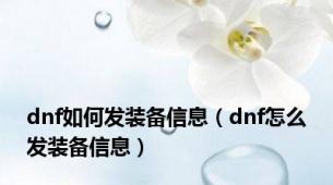 dnf如何发装备信息（dnf怎么发装备信息）