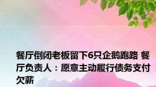 餐厅倒闭老板留下6只企鹅跑路 餐厅负责人：愿意主动履行债务支付欠薪