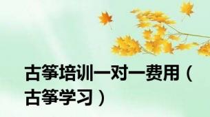 古筝培训一对一费用（古筝学习）