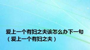 爱上一个有妇之夫该怎么办下一句（爱上一个有妇之夫）