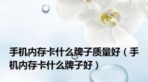 手机内存卡什么牌子质量好（手机内存卡什么牌子好）