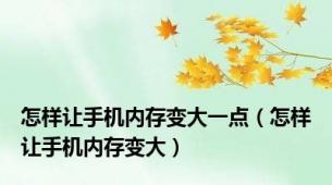 怎样让手机内存变大一点（怎样让手机内存变大）