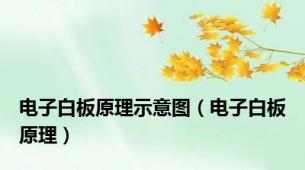 电子白板原理示意图（电子白板原理）