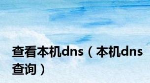 查看本机dns（本机dns查询）