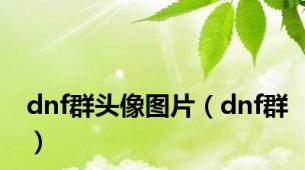 dnf群头像图片（dnf群）