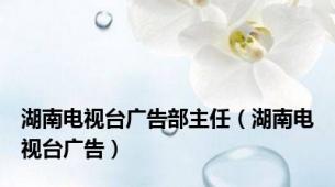 湖南电视台广告部主任（湖南电视台广告）