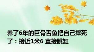 养了6年的巨骨舌鱼把自己摔死了：接近1米6 直接跳缸