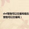 dnf宠物可以交易吗现在（dnf宠物可以交易吗）