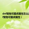 dnf宠物可爱虎属性怎么选（dnf宠物可爱虎属性）