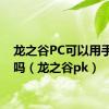 龙之谷PC可以用手柄玩吗（龙之谷pk）