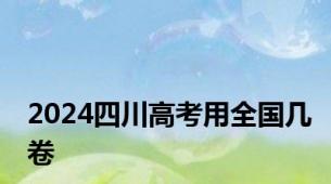 2024四川高考用全国几卷