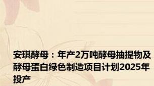 安琪酵母：年产2万吨酵母抽提物及酵母蛋白绿色制造项目计划2025年投产