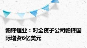 赣锋锂业：对全资子公司赣锋国际增资6亿美元