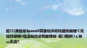 鐙瀵硅瘽SpaceX鎶曡祫浜哄紶鐠愶細娌℃兂鍒拌繖娆¤兘瀹屾垚鍙戝皠锛岄┈鏂厠鏄ぇ姊︽兂瀹?,