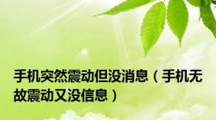 手机突然震动但没消息（手机无故震动又没信息）