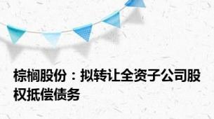 棕榈股份：拟转让全资子公司股权抵偿债务