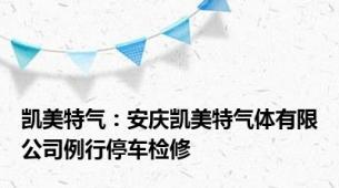 凯美特气：安庆凯美特气体有限公司例行停车检修