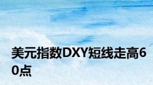 美元指数DXY短线走高60点